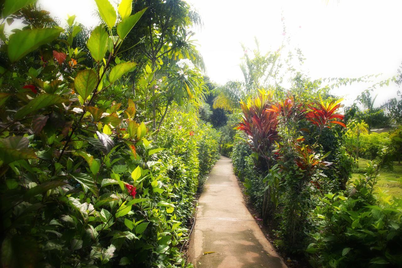 Red Earth Kabini Hotell Begūr Eksteriør bilde